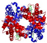 Haemoglobin